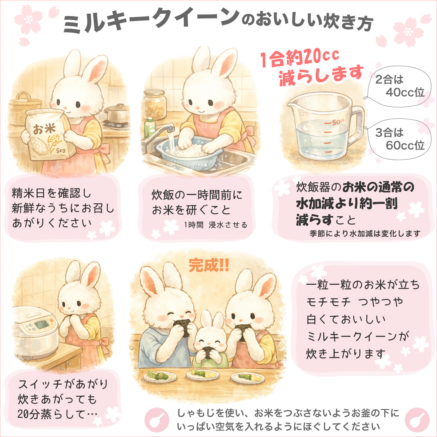 ミルキークイーン 令和7年産 新潟産 5kg 米 送料無料 （北海道、九州
