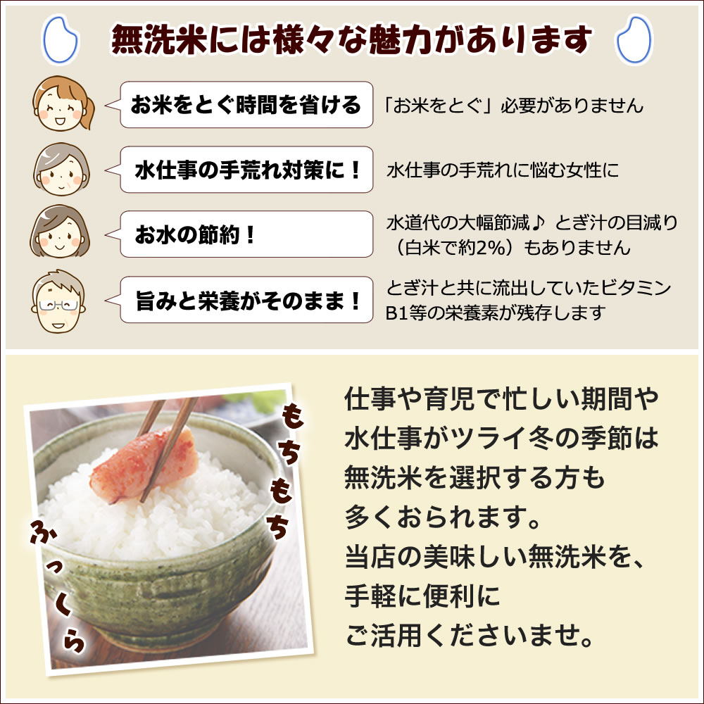 こしいぶき 無洗米 令和7年産 新潟産 5kg 吟精 送料無料 （北海道