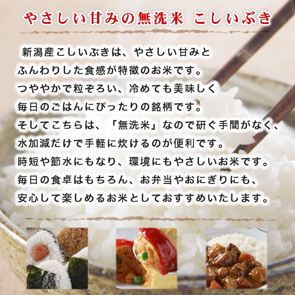 こしいぶき 無洗米 令和7年産 新潟産 5kg 吟精 送料無料 （北海道
