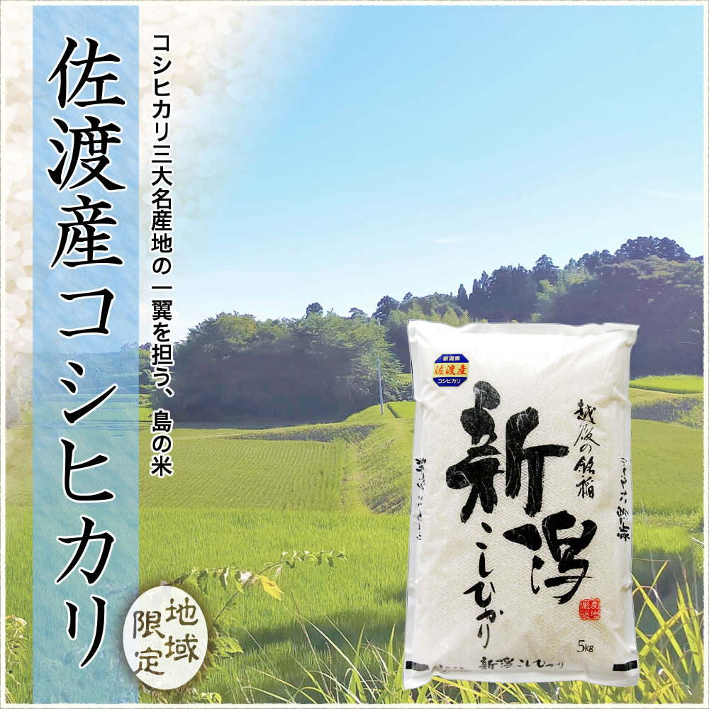コシヒカリ 令和7年産 新潟産 山並 25kg(5kg×5袋) 玄米 送料無料
