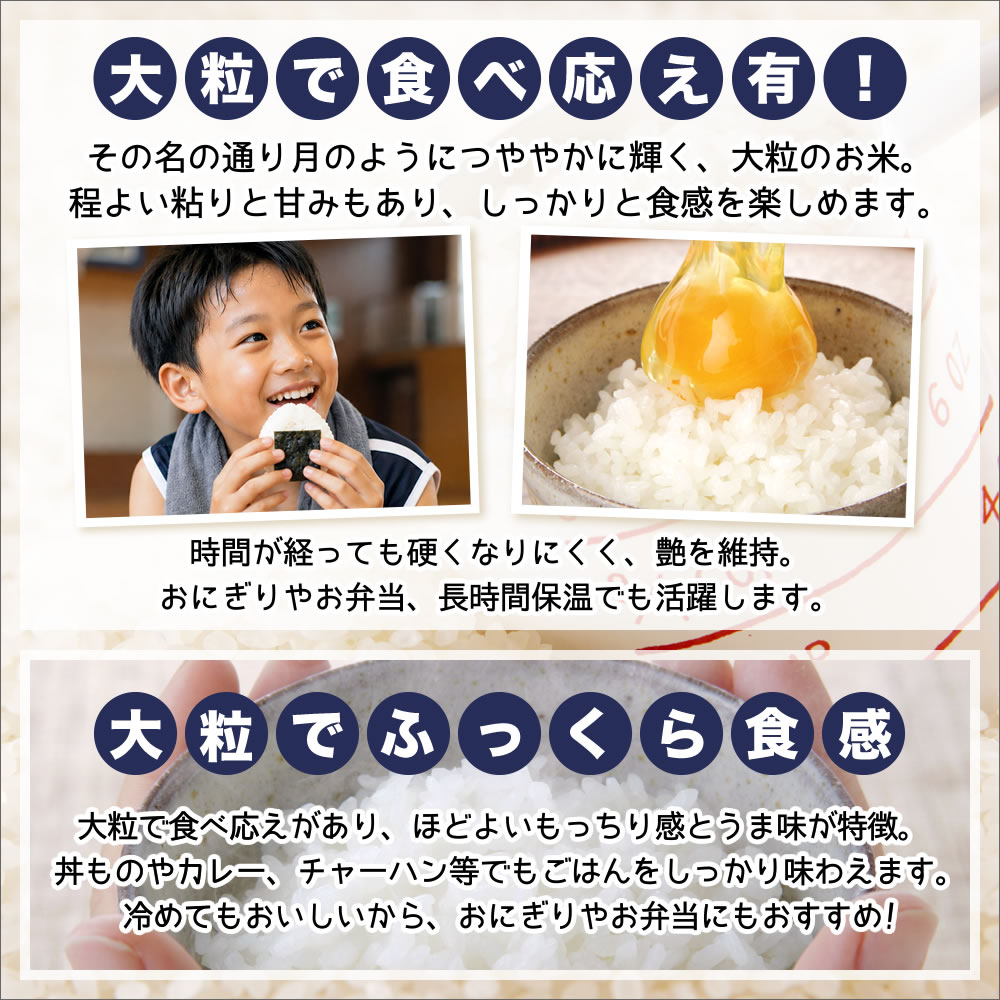 つきあかりの特徴