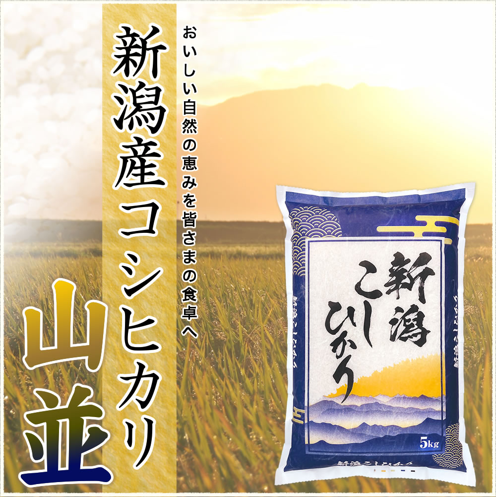 コシヒカリ 新米 令和7年産 新潟産 山並 10kg(5kg×2袋) 米 送料無料
