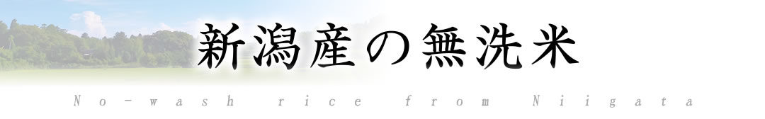新潟産 無洗米 通販