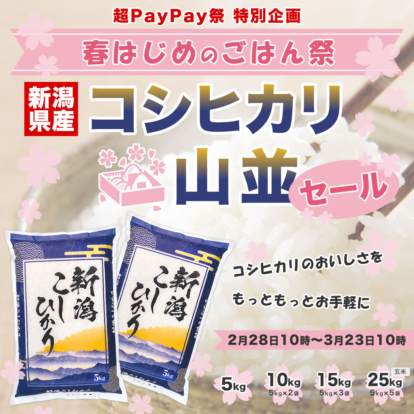 コシヒカリ 令和7年産 新潟産 山並 10kg(5kg×2袋) 米 送料無料