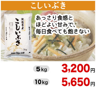 令和8年産 新米 新潟産こしいぶき 通販