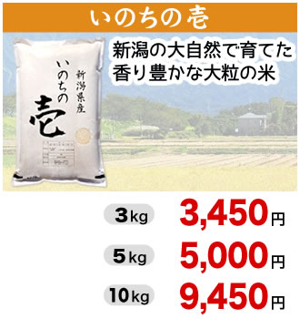 いのちの壱 通販