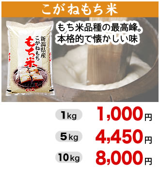 こがねもち米 新潟