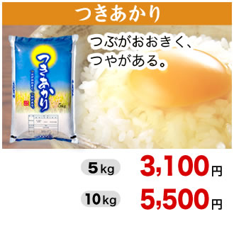 令和8年産 新米 新潟産つきあかり 通販