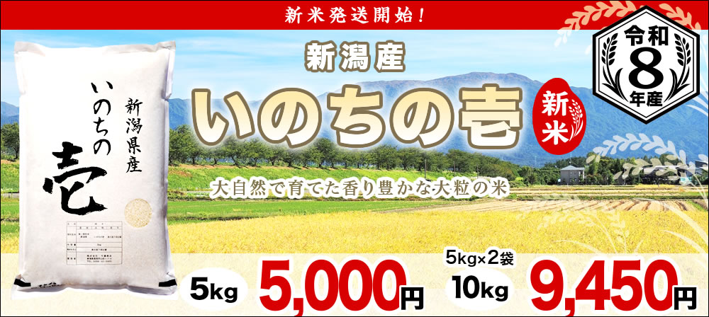いのちの壱
