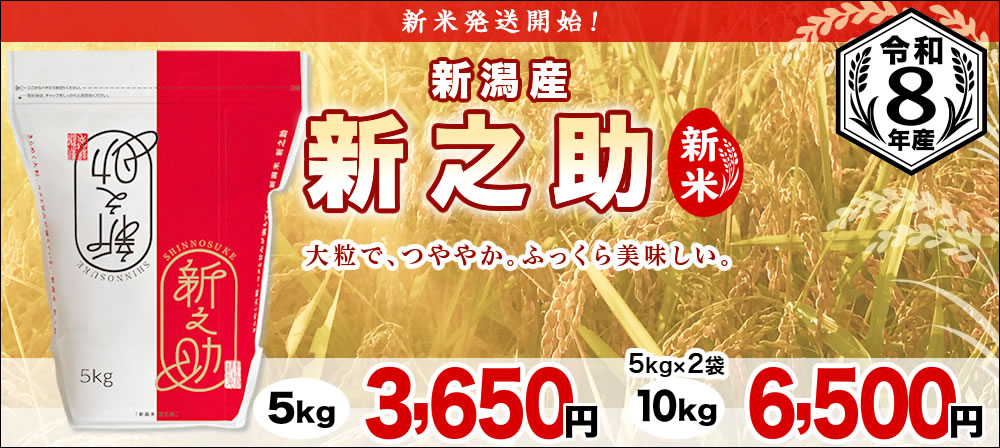 新潟産新之助