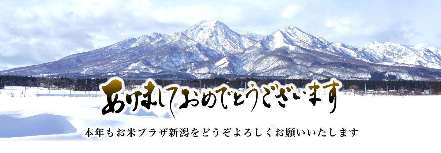 新年