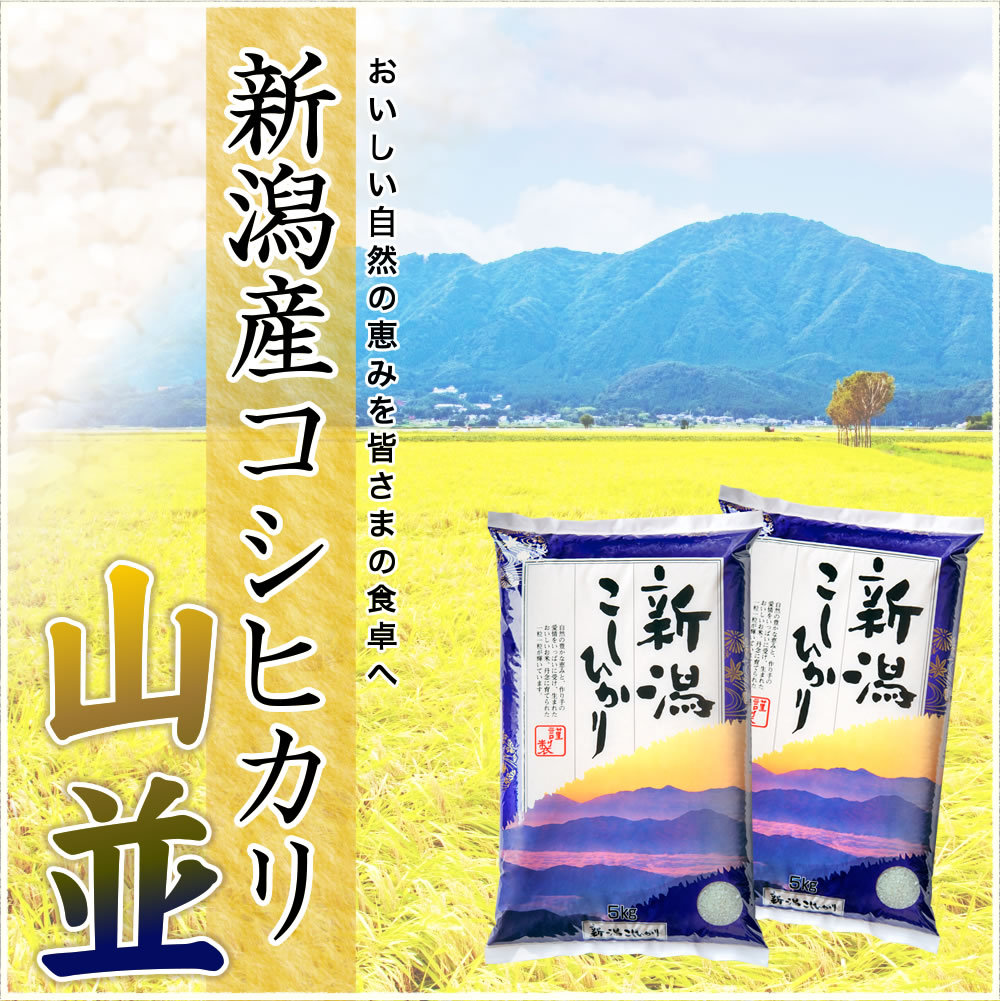 新米】令和5年産 お米 5kg 長岡産コシヒカリ 新潟産 送料無料 （北海道