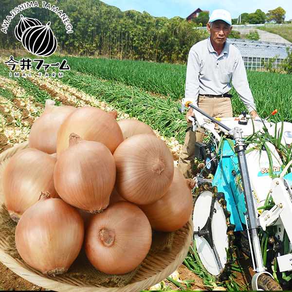 たまねぎ 新玉ねぎ 淡路島 10kg 訳あり 大玉 今井ファーム 