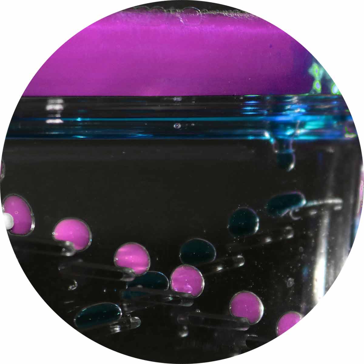 オイルモーション