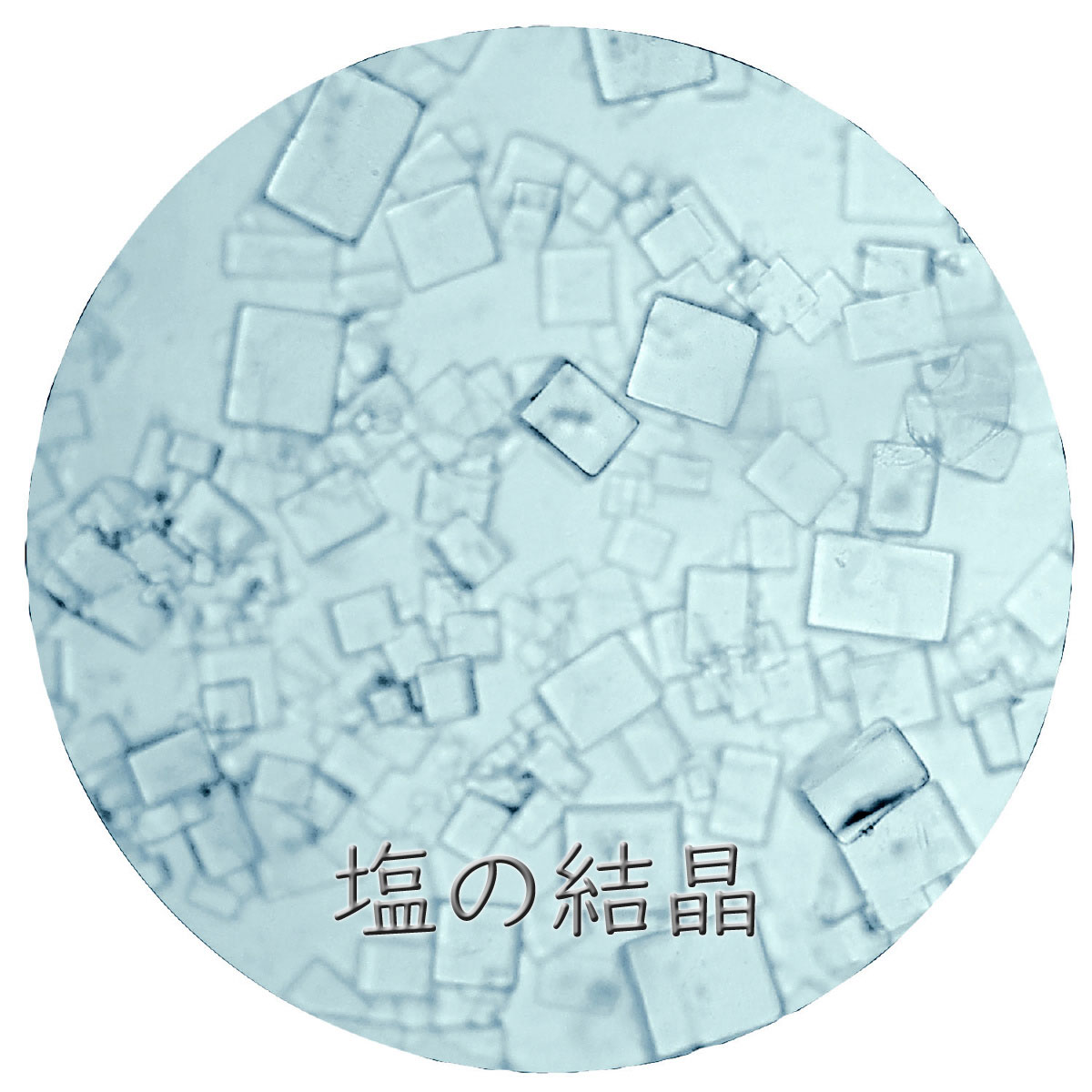 150倍顕微鏡で見た塩の結晶