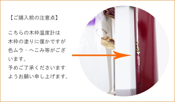 Fun Science（ファン・サイエンス） プチサイズの木枠ガリレオ温度計
