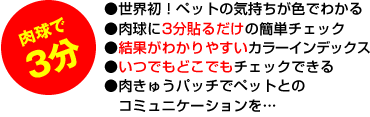 3分のスピード測定