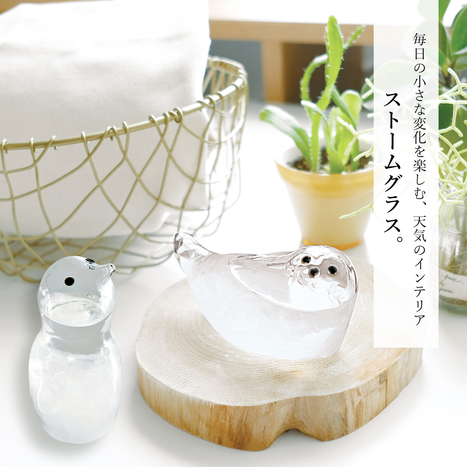 マルテイグラス(インテリア用) マルティグラス 硝子細工 インテリア 置物 オブジェ 白鳥 スワン 2羽