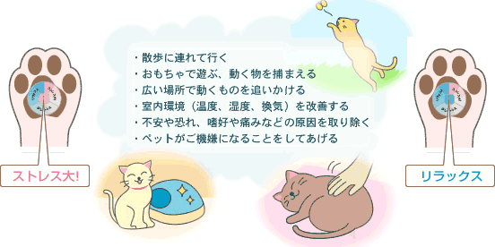 ストレスチェックの検証：結果