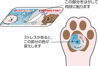 肉球パッチ使用方法