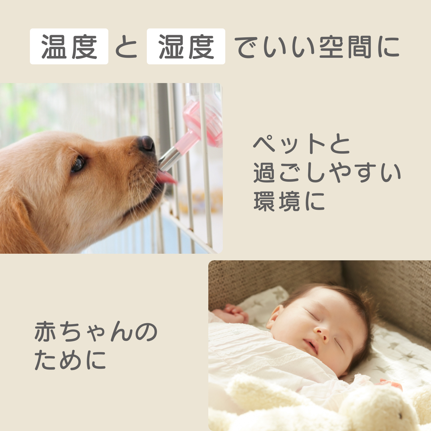 デジタル温度計 デジタル温湿度計 デジタル時計 sology 小型 丸い ラウンド THY0102WH 送料無料 | ブランド登録なし | 05