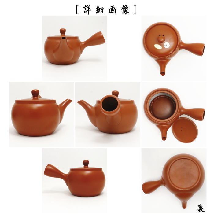 急須 常滑焼き とこなめ焼き 朱泥 帯網 帯アミ 約800ml 45号