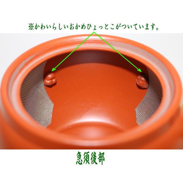 急須　常滑焼き　朱泥　スーパーワイド帯 　約800ml（45号）　日本製
