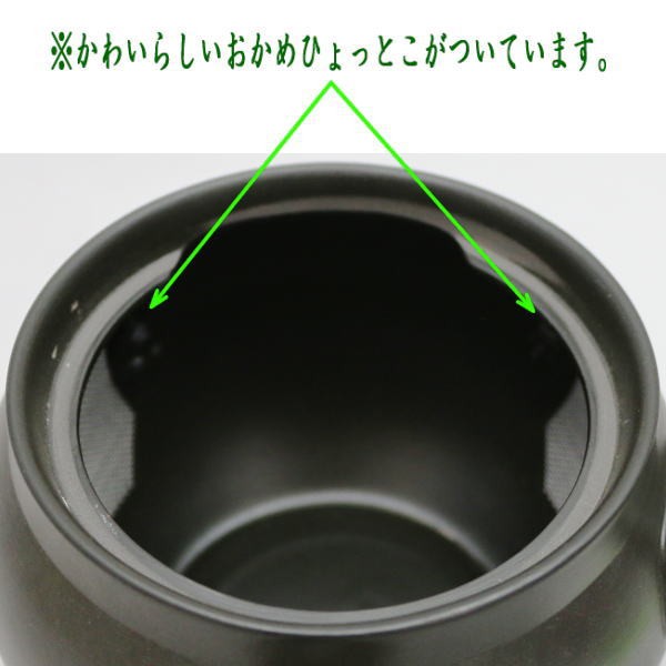 急須常 滑焼き（とこなめ焼き）　黒　スーパーワイド網　棚カット　約360ml（20号）　日本製