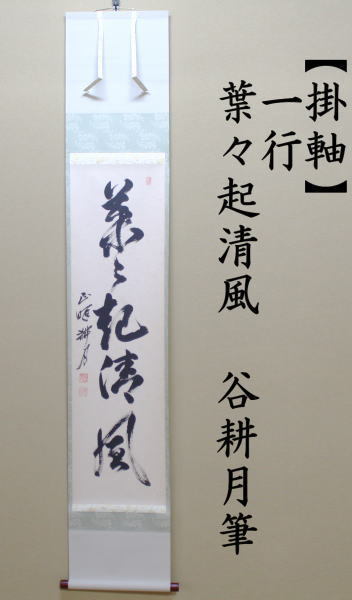 茶道具 掛軸 掛け軸 一行 葉々起清風 谷耕月筆 茶道 : 茶道具