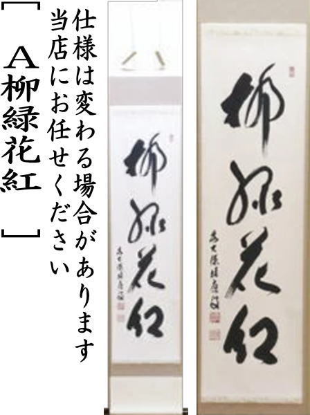 佐藤朴道　茶掛軸　柳緑花紅　竹林桜の図　画賛　茶道具 茶道具 掛軸 掛け軸 一行 柳緑花紅又は行雲流水又は松無古今色
