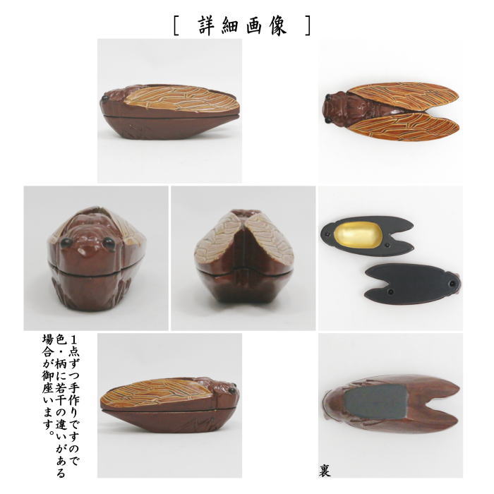 香合　蝉　般若勉作　（号　雲舟）