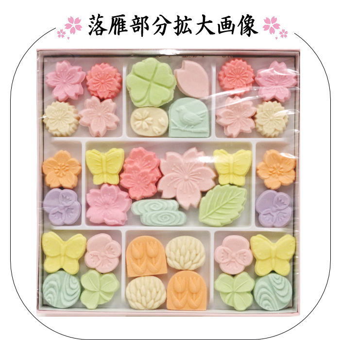 お菓子　和菓子/干菓子 落雁（らくがん）　和三盆糖　春の琴　一段　ばいこう堂