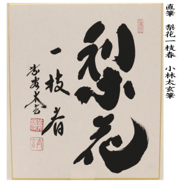 茶道具 色紙 直筆 薫風自南来又は梨花一枝春 小林太玄筆 茶道 : 茶道具
