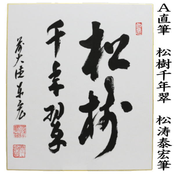 茶道具 色紙 直筆 松樹千年翠又は老松披五雲 松涛泰宏筆 茶道 : 茶道具