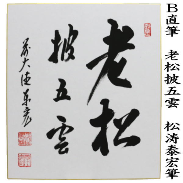 茶道具 色紙 直筆 松樹千年翠又は老松披五雲 松涛泰宏筆 茶道 : 茶道具