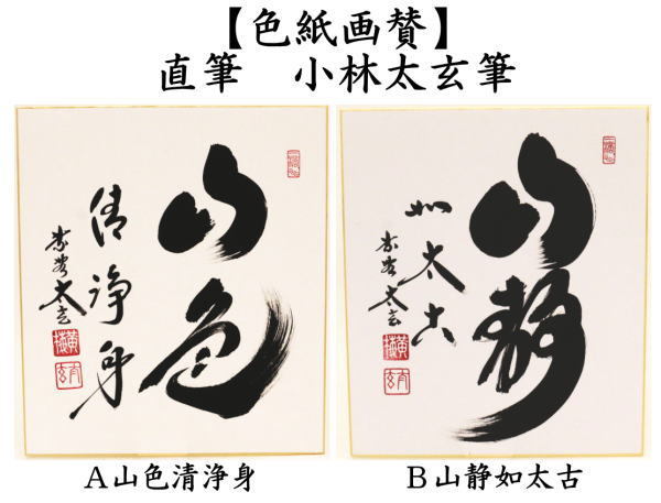 茶道具 色紙 直筆 山色清浄身又は山静如太古 小林太玄筆 茶道 : 茶道具