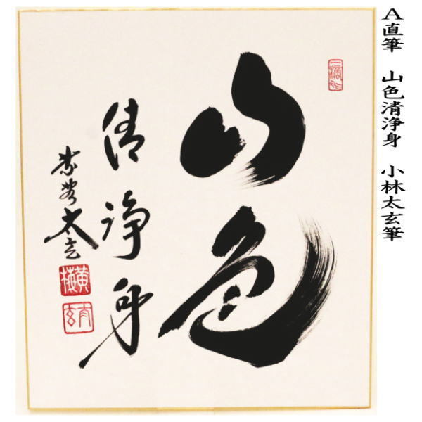 茶道具 色紙 直筆 山色清浄身又は山静如太古 小林太玄筆 茶道 : 茶道具