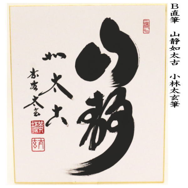 茶道具 色紙 直筆 山色清浄身又は山静如太古 小林太玄筆 茶道 : 茶道具