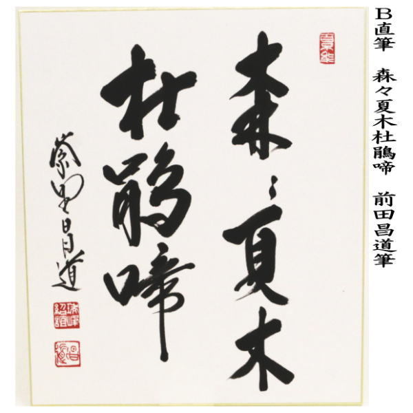 茶道具 色紙 直筆 水上青々翠又は森々夏木杜鵑啼 前田昌道筆 茶道