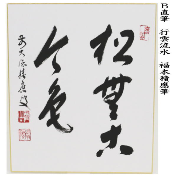 2003 福本積應 「松樹千年翠」 臨済宗 大徳寺 禅語 茶器/茶道具 色紙】 直筆 松樹千年翠又松無古今色 福本積應筆