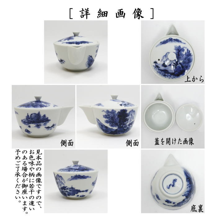 急須　宝瓶（宝品）　染付　山水　高野昭阿弥作