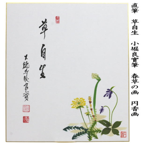矢車草 句集/文学の森/鎌田保子（単行本） 茶道具 色紙画賛 直筆 草自生 春草の画又は清香 水仙の画 小堀