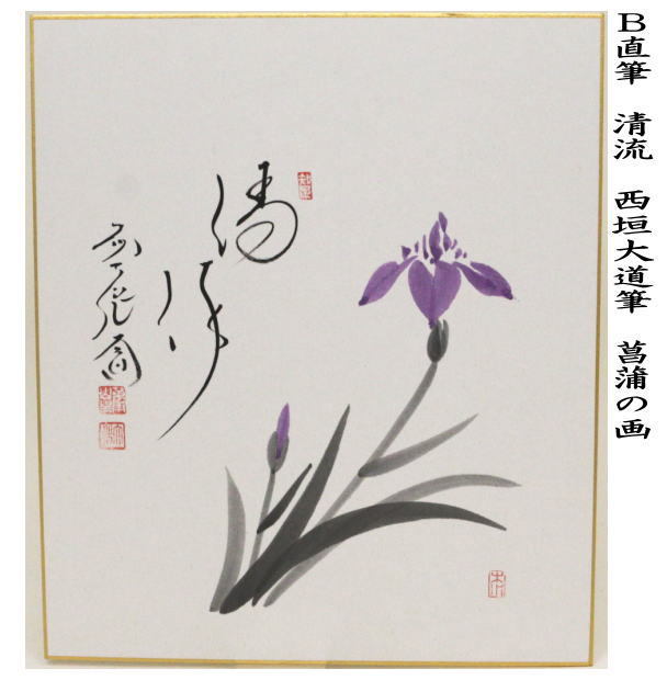 茶道具 色紙画賛 直筆 清流 西垣大道筆 鮎の画又は菖蒲の画 色紙