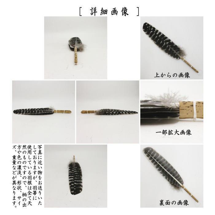 【2月1日迄の出品】茶道具　羽箒　炉用 茶道具 炭道具 羽箒 唐国鳥 炉用 茶道 : 茶道具いまや静香園 - 通販