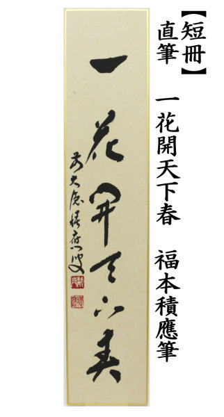 茶道具 短冊 直筆 一花開天下春 福本積應筆 茶道 : 茶道具いまや静香園