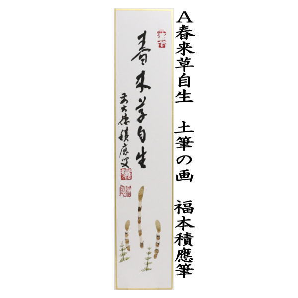 【茶道具】明道筆　『清流』春洋画　めだかの図（共箱）送料込 時雨」露地画 横物 画賛-即中斎筆 春芳堂表具 ※軸・茶掛