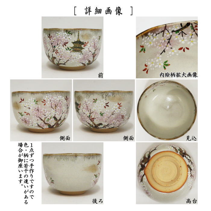 抹茶茶碗　乾山写し　御室桜　森下秋彩作