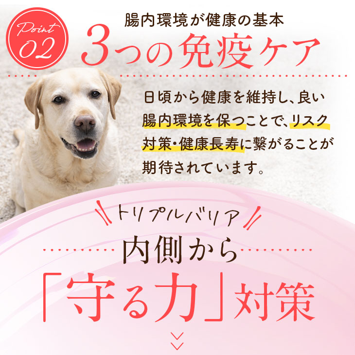 【いぬだペプチド 60粒】シニア犬 サプリ｜関節 免疫 胃腸 健康をサポート 緑イ貝 プロテオグリカン イミダゾールペプチド コラーゲン 乳酸菌 老犬 サプリメント |  | 09