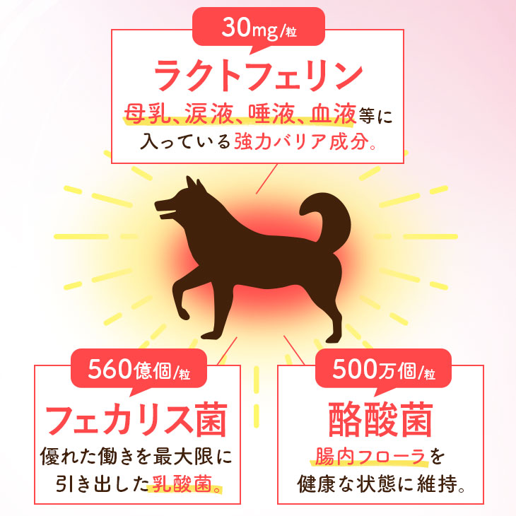 【いぬだペプチド 60粒】シニア犬 サプリ｜関節 免疫 胃腸 健康をサポート 緑イ貝 プロテオグリカン イミダゾールペプチド コラーゲン 乳酸菌 老犬 サプリメント |  | 10