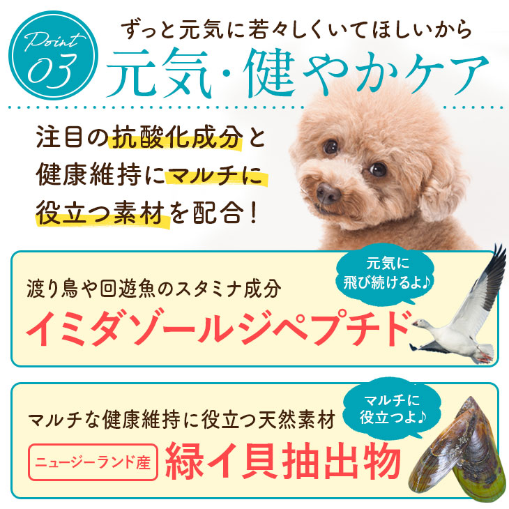 【いぬだペプチド 60粒】シニア犬 サプリ｜関節 免疫 胃腸 健康をサポート 緑イ貝 プロテオグリカン イミダゾールペプチド コラーゲン 乳酸菌 老犬 サプリメント |  | 12